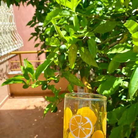 The Citrus Tree