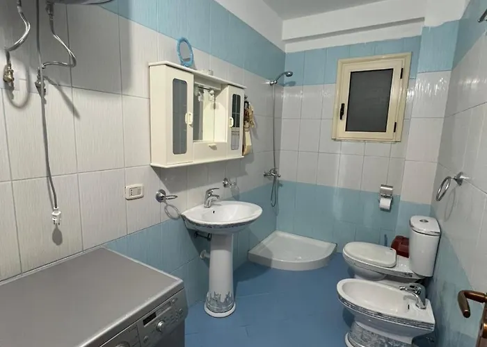 The Citrus Tree Vlorë